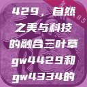 三叶草GW4429，自然之美与科技的融合三叶草gw4429和gw4334的外观对比  第1张