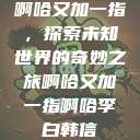 啊哈又加一指，探索未知世界的奇妙之旅啊哈又加一指啊哈李白韩信  第1张