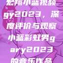 宏翔小蓝视频gy2023，深度评价与观察小蓝彩虹男gary2023的音乐作品  第1张