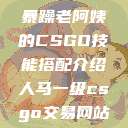 暴躁老阿姨的CSGO技能搭配介绍人马一级csgo交易网站  第1张