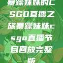 暴躁妹妹的CSGO直播之旅暴躁妹妹csgo直播节目回放完整版  第1张