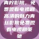 青柠影院，免费观看电视剧高清的魅力青丝影院免费观看电视剧策驰  第1张