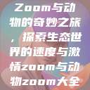 Zoom与动物的奇妙之旅，探索生态世界的速度与激情zoom与动物zoom大全  第1张
