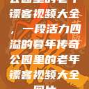 公园里的老年镖客视频大全，一段活力四溢的暮年传奇公园里的老年镖客视频大全图片  第1张