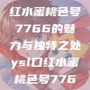 探究YSL口红水蜜桃色号7766的魅力与独特之处ysl口红水蜜桃色号7766在线  第1张