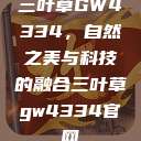 三叶草GW4334，自然之美与科技的融合三叶草gw4334官网  第1张