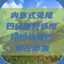 内塞式兔尾巴穿戴舒适度探讨兔尾巴塞在哪里  第1张