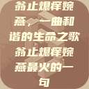 翁止熄痒婉燕，一曲和谐的生命之歌翁止熄痒婉燕最火的一句  第1张