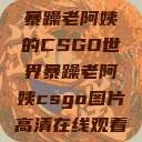 暴躁老阿姨的CSGO世界暴躁老阿姨csgo图片高清在线观看  第1张