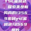YSL蜜桃色，探索美妆新风尚的13569密码ysl蜜桃色13569图片  第1张