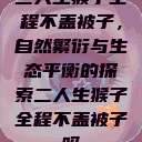 二人生猴子全程不盖被子，自然繁衍与生态平衡的探索二人生猴子全程不盖被子吗  第1张