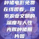 种猪电影免费在线观看，探索农业文明的深度与人性光辉种猪照片图  第1张