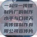 一窥9一传媒制片厂的制作水平与口碑天美传媒制作有限公司宣传片  第1张