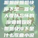 姐姐呀姐姐快停下是一首令人难以忘怀的歌曲姐姐呀姐姐快停下是什么歌曲小说  第1张