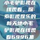 小毛驴影视在线观看，探索影视娱乐的新天地小毛驴影视在线观看6996集  第1张