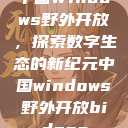 中国Windows野外开放，探索数字生态的新纪元中国windows野外开放bideos  第1张