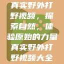 真实野外打野视频，探索自然，体验原始的力量真实野外打野视频大全  第1张