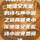 两峰夹小溪，地湿又无泥的诗与声小说之旅两峰夹小溪地湿又无泥诗小说免费阅读  第1张