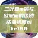 三叶草m码与欧洲码的区别成品视频nike168  第1张