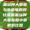 蜜丝婷大草莓与小草莓的对比赏析蜜丝婷大草莓和小草莓对比图  第1张