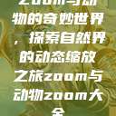 Zoom与动物的奇妙世界，探索自然界的动态缩放之旅zoom与动物zoom大全  第1张