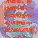 小草莓，自然界的瑰宝与人类的甜蜜记忆小草莓app改名后叫什么  第1张