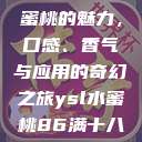 探索YSL水蜜桃的魅力，口感、香气与应用的奇幻之旅ysl水蜜桃86满十八岁会黑吗小  第1张
