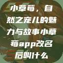 小草莓，自然之宠儿的魅力与故事小草莓app改名后叫什么  第1张
