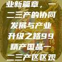 探索中国产业新篇章，一二三产的协同发展与产业升级之路99精产国品一二三产区区观看  第1张