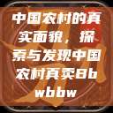 中国农村的真实面貌，探索与发现中国农村真卖Bbwbbw  第1张