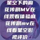 星空下的麻花传剧MV在线观看体验麻花传剧mv在线看星空影视评价  第1张