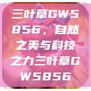 三叶草GW5856，自然之美与科技之力三叶草GW5856  第1张