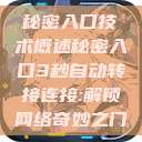 秘密入口技术概述秘密入口3秒自动转接连接:解锁网络奇妙之门  第1张