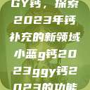 小蓝G钙与GGY钙，探索2023年钙补充的新领域小蓝g钙2023ggy钙2023的功能介绍  第1张