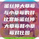 蜜丝婷大草莓与小草莓的对比赏析蜜丝婷大草莓和小草莓对比图  第1张