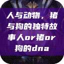 人与动物，猪与狗的独特故事人or猪or狗的dna  第1张