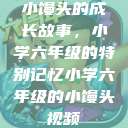 小馒头的成长故事，小学六年级的特别记忆小学六年级的小馒头视频  第1张
