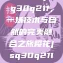 探索樱花jsq30q211，一场技术与自然的完美融合之旅樱花jsq30q211官网  第1张