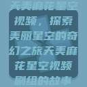 天美麻花星空视频，探索美丽星空的奇幻之旅天美麻花星空视频剧组的故事  第1张