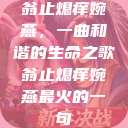 翁止熄痒婉燕，一曲和谐的生命之歌翁止熄痒婉燕最火的一句  第1张