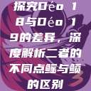 探究Déo 18与Déo 19的差异，深度解析二者的不同点鳐与鲼的区别  第1张