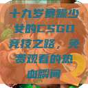 十九岁暴躁少女的CSGO竞技之路，免费观看的热血瞬间  第1张