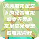 天美麻花星空下的免费电视盛宴天美麻花星空免费观看电视青柠  第1张