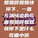 姐姐呀姐姐快停下，一首充满情感的歌曲姐姐呀姐姐快停下是什么歌曲小说  第1张