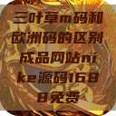 三叶草m码和欧洲码的区别成品网站nike源码1688免费  第1张