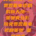 青丝影院，免费观看电视剧的新天地—策驰青丝影院免费观看电视剧策驰 暖暖国语  第1张
