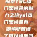 探索YSL热门蜜桃色的魅力之旅ysl热门蜜桃色有一侧输卵管堵了可以怀孕吗  第1张
