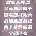 武松大战潘金莲最经典十首歌曲武松大战潘金莲最经典十首歌曲名字叫什么  第1张