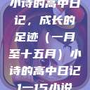 小诗的高中日记，成长的足迹（一月至十五月）小诗的高中日记1一15小说  第1张