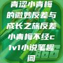 青涩小青梅的微妙反差与成长之旅反差小青梅不经c1v1小说笔趣阁  第1张